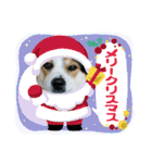 MerryXmas2896（個別スタンプ：11）