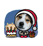 MerryXmas2896（個別スタンプ：14）