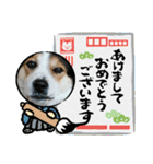 MerryXmas2896（個別スタンプ：16）