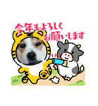 MerryXmas2896（個別スタンプ：17）