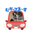 MerryXmas2896（個別スタンプ：18）