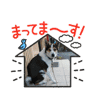 MerryXmas2896（個別スタンプ：19）