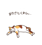 三河弁を話すかわいい猫たち vol.2（個別スタンプ：2）