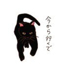 三河弁を話すかわいい猫たち vol.2（個別スタンプ：5）