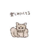 三河弁を話すかわいい猫たち vol.2（個別スタンプ：7）