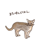 三河弁を話すかわいい猫たち vol.2（個別スタンプ：8）