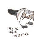 三河弁を話すかわいい猫たち vol.2（個別スタンプ：11）