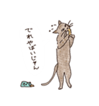 三河弁を話すかわいい猫たち vol.2（個別スタンプ：21）