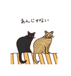 三河弁を話すかわいい猫たち vol.2（個別スタンプ：28）