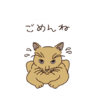 三河弁を話すかわいい猫たち vol.2（個別スタンプ：29）