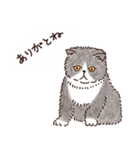 三河弁を話すかわいい猫たち vol.2（個別スタンプ：30）