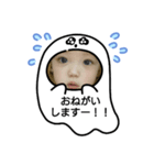 オバケちゃん～スタンプ（個別スタンプ：3）