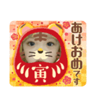 2022年の挨拶！！（個別スタンプ：2）