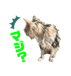 濡れ三毛猫ハリーさんの仲間たち デカ文字（個別スタンプ：17）
