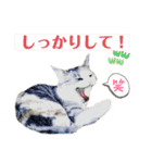 濡れ三毛猫ハリーさんの仲間たち デカ文字（個別スタンプ：23）