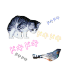 濡れ三毛猫ハリーさんの仲間たち デカ文字（個別スタンプ：35）