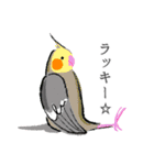 コトリヨガ【 鳥文字ABC 】（個別スタンプ：12）