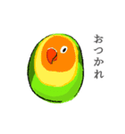 コトリヨガ【 鳥文字ABC 】（個別スタンプ：15）