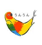 コトリヨガ【 鳥文字ABC 】（個別スタンプ：21）