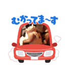 おもしろい猫（個別スタンプ：1）