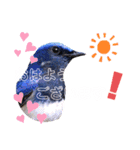 幸せを運ぶ青い鳥たち（個別スタンプ：7）