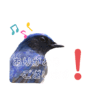 幸せを運ぶ青い鳥たち（個別スタンプ：8）