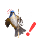 幸せを運ぶ青い鳥たち（個別スタンプ：10）