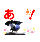 幸せを運ぶ青い鳥たち（個別スタンプ：32）