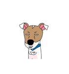 ぷよ ジャック ラッセル テリア犬 アニメ 5（個別スタンプ：8）