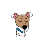 ぷよ ジャック ラッセル テリア犬 アニメ 5（個別スタンプ：16）
