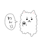 かわいいぽめらにあん（個別スタンプ：1）
