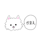 かわいいぽめらにあん（個別スタンプ：7）