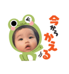 らん、てん（個別スタンプ：3）
