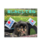 ポメラニアンの太助・太愛3（個別スタンプ：17）