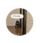 ポメラニアンの太助・太愛3（個別スタンプ：36）