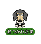 元保護犬 今家庭犬 7（個別スタンプ：9）