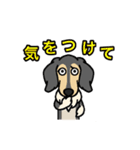 元保護犬 今家庭犬 7（個別スタンプ：13）