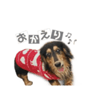 レオとトム（個別スタンプ：7）