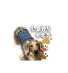 レオとトム（個別スタンプ：8）