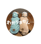 レオとトム（個別スタンプ：14）