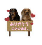 レオとトム（個別スタンプ：16）