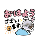 ねこちゃんず 02（個別スタンプ：3）