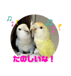 ゆきちゃん宅スタンプ19（個別スタンプ：4）
