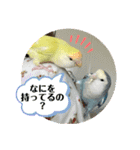 ゆきちゃん宅スタンプ19（個別スタンプ：5）