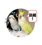 ゆきちゃん宅スタンプ19（個別スタンプ：7）