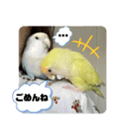ゆきちゃん宅スタンプ19（個別スタンプ：9）