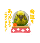 ゆきちゃん宅スタンプ19（個別スタンプ：16）