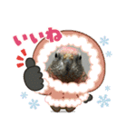 ゆきちゃん宅スタンプ19（個別スタンプ：19）