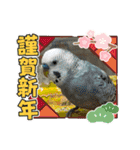 ゆきちゃん宅スタンプ19（個別スタンプ：21）