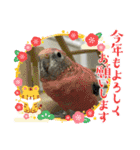 ゆきちゃん宅スタンプ19（個別スタンプ：23）